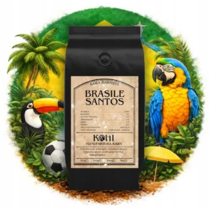 KOHI-Z-100-BRASILE Kawa ziarnista Arabica Brasile 100g KOHI
